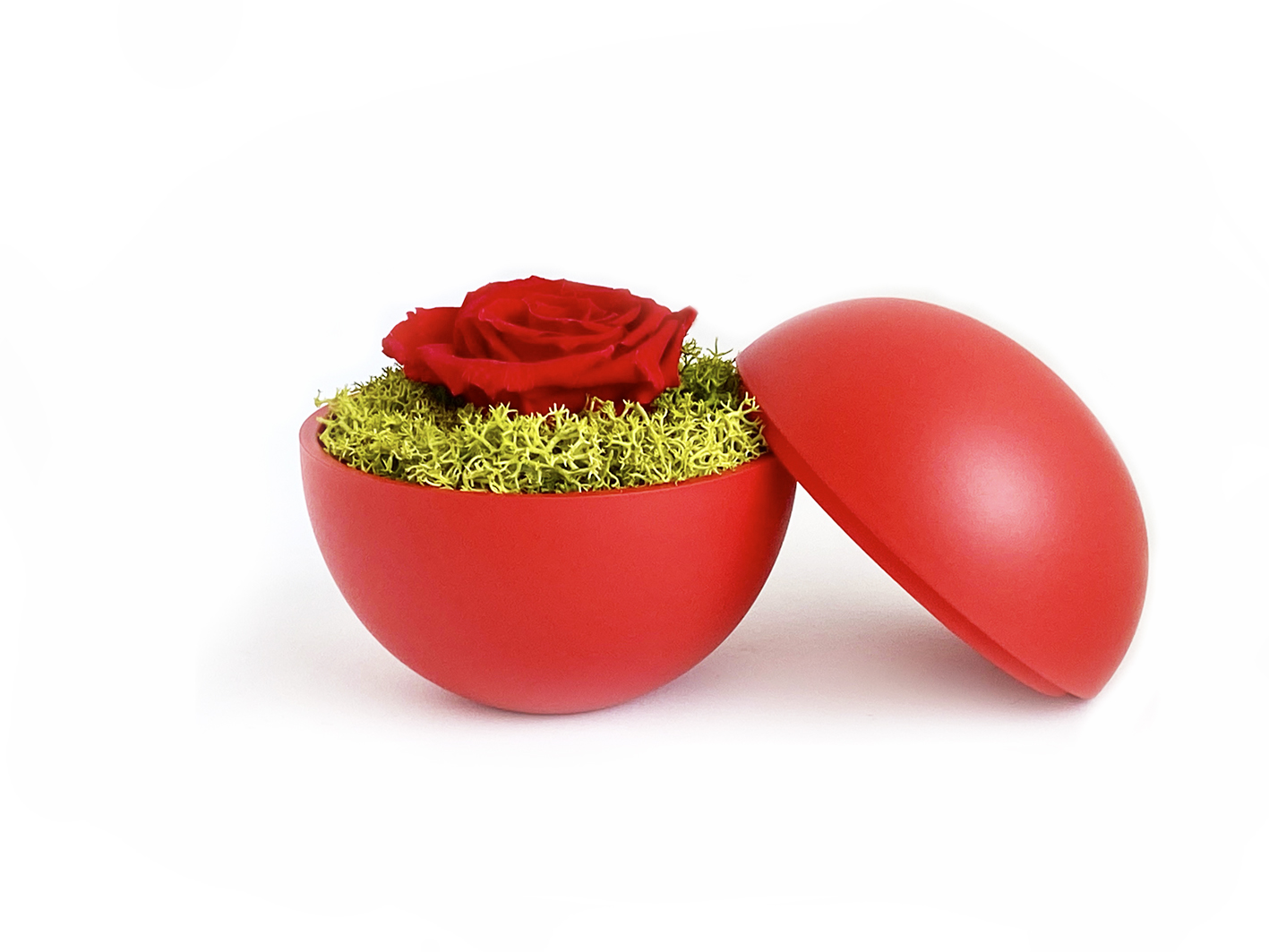 globe : red の画像