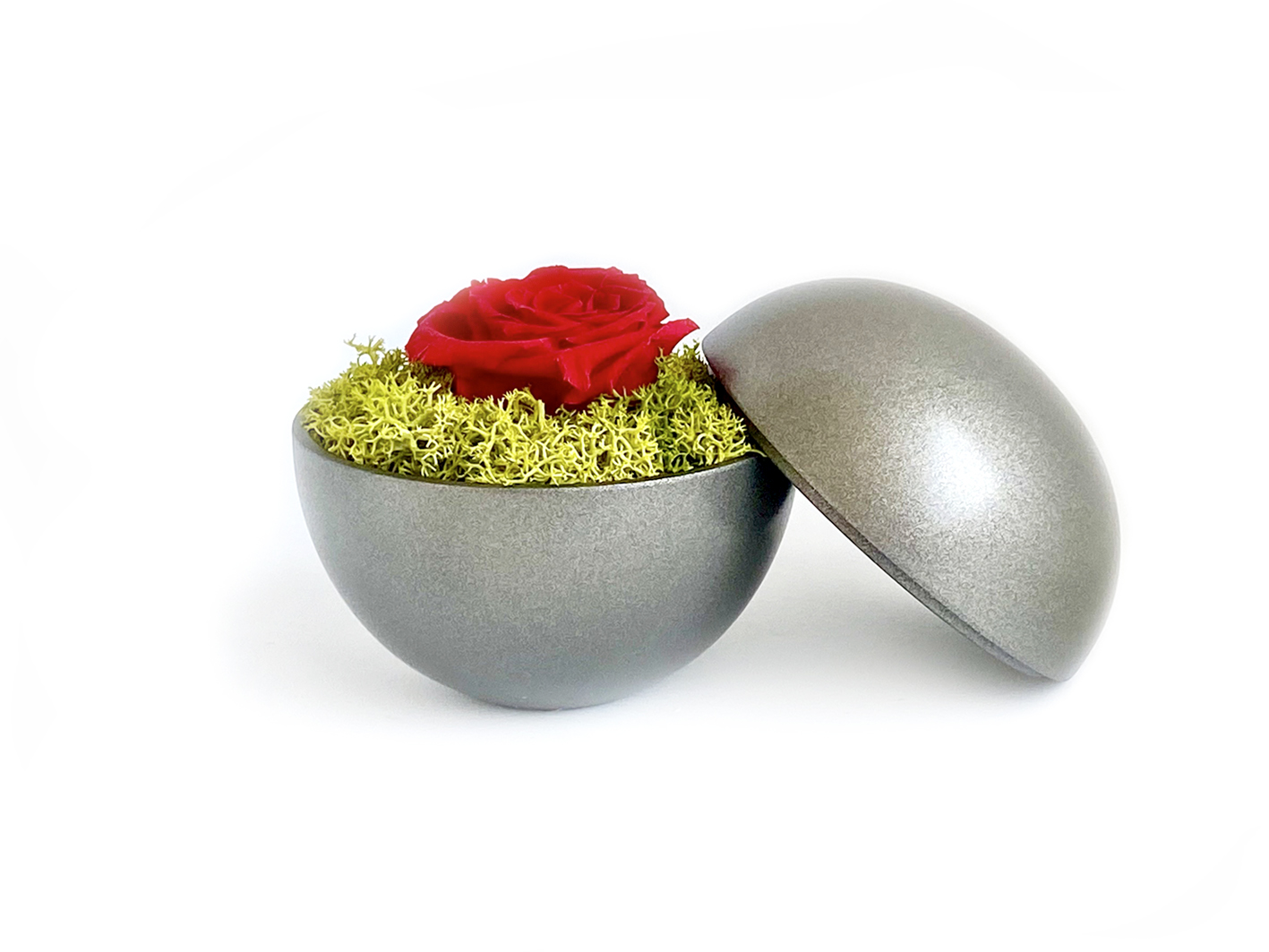 globe : silver metallic の画像