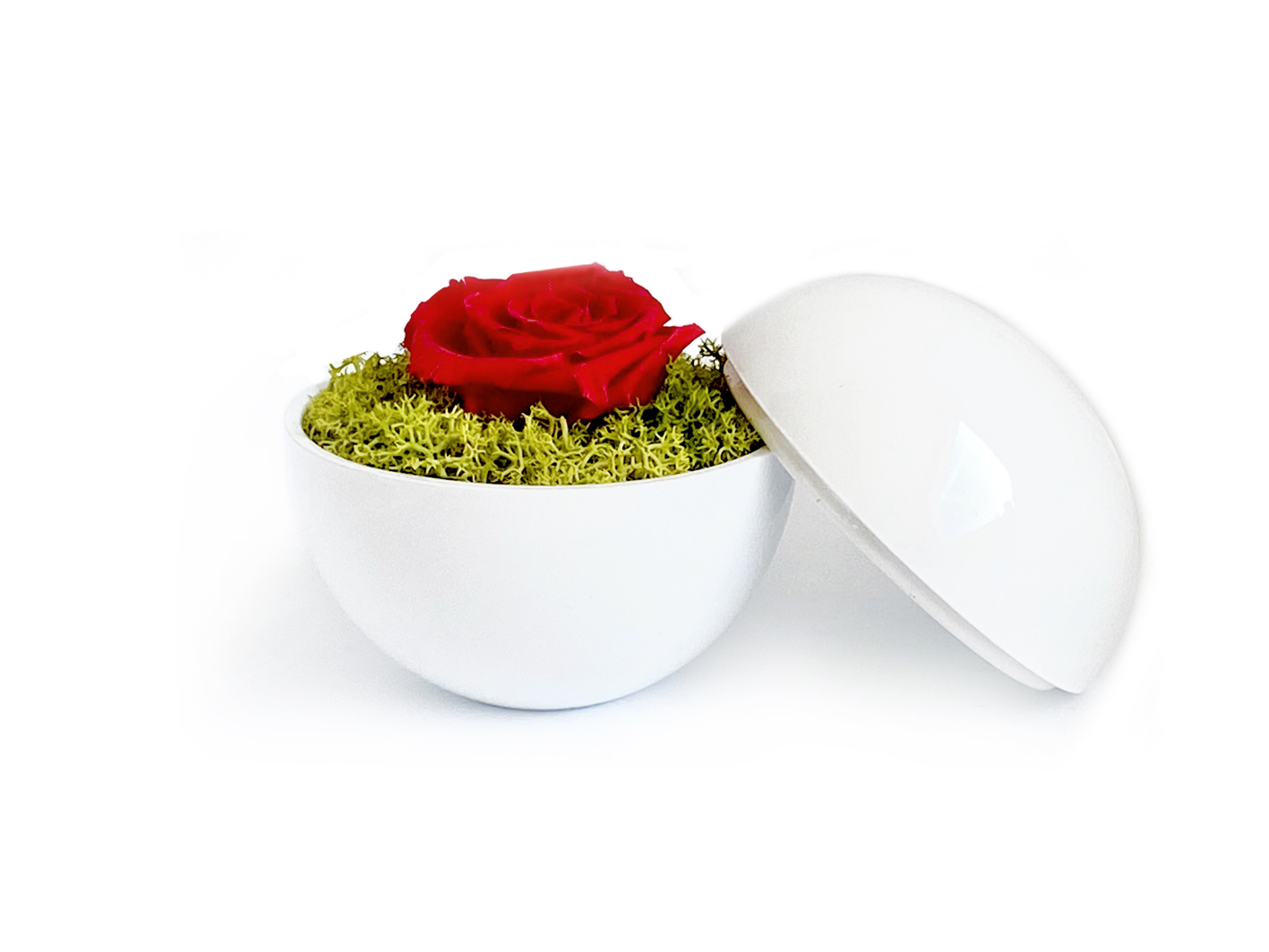 globe : glossy white の画像