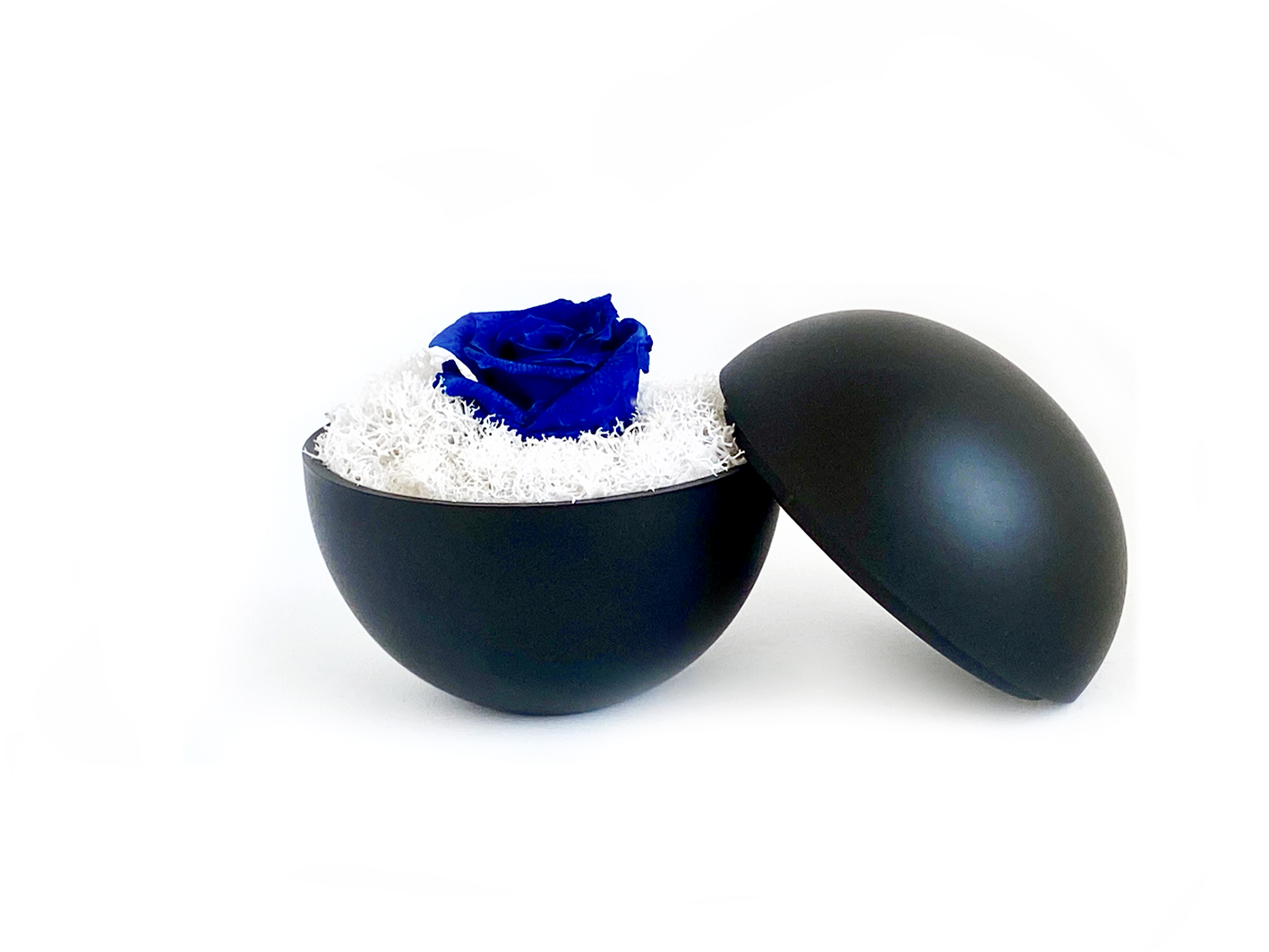 globe : mat black の画像