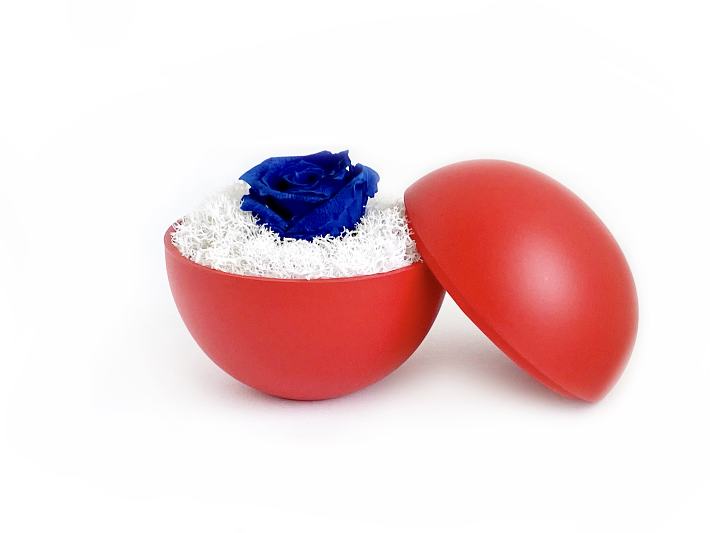 globe : red の画像