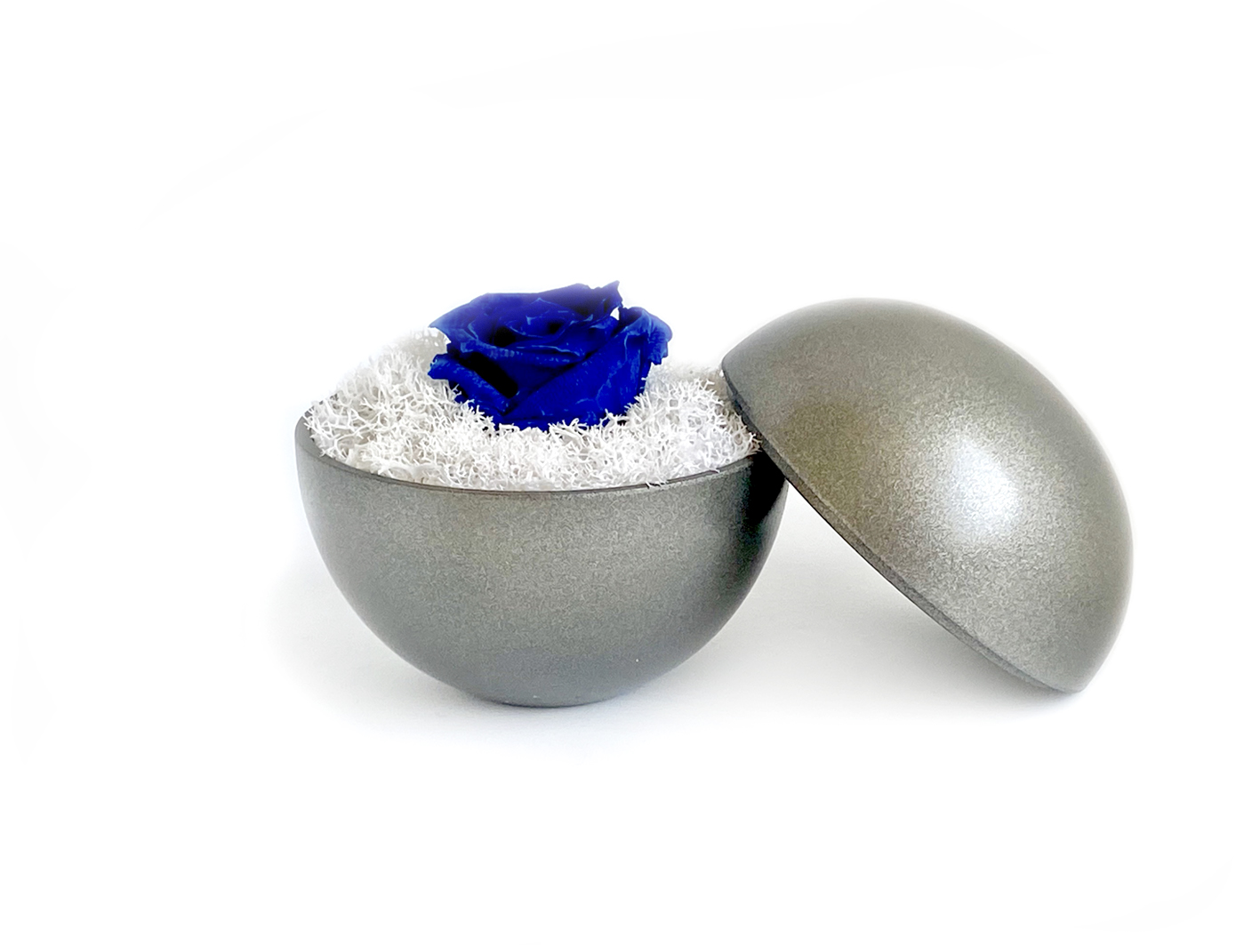 globe : silver metallic の画像