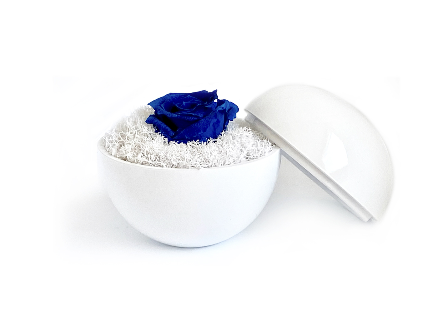 globe : glossy white の画像