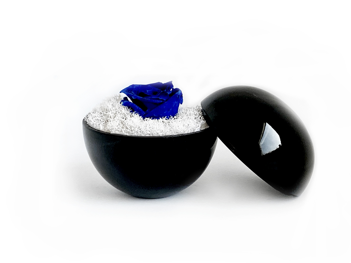 globe : glossy black の画像