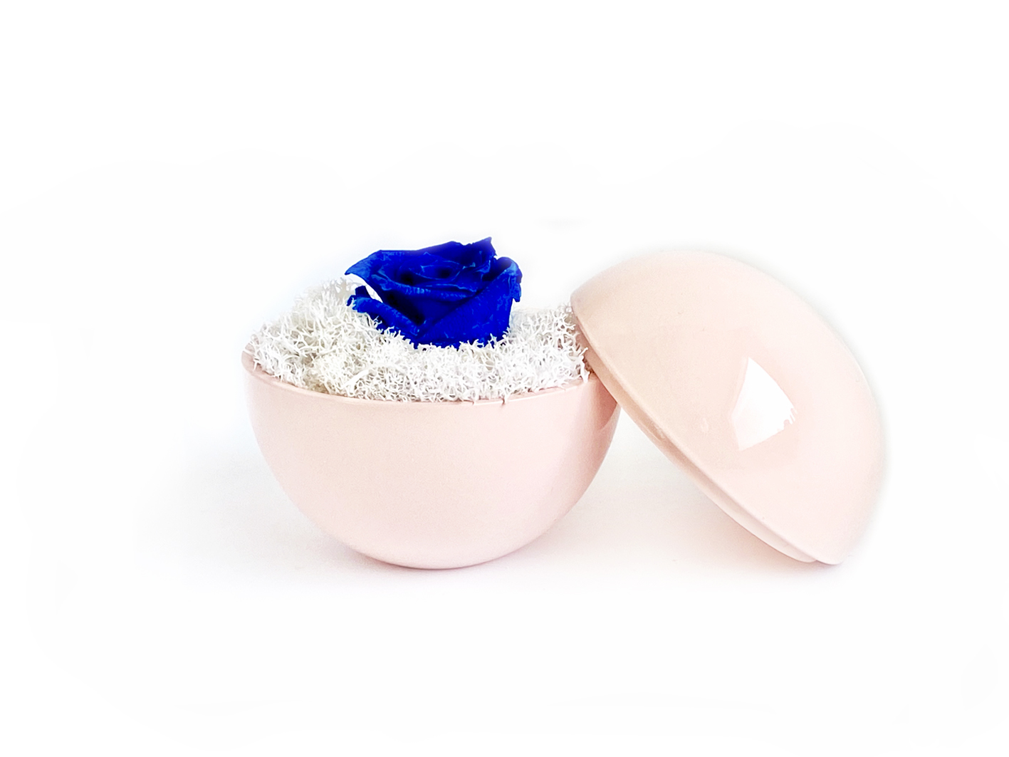 globe : pink の画像