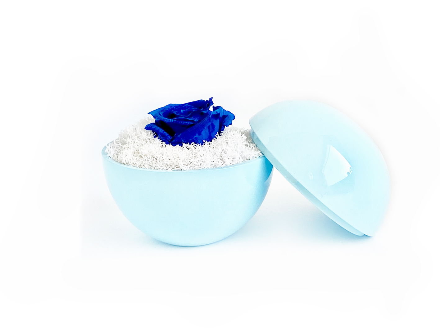 globe : blue の画像