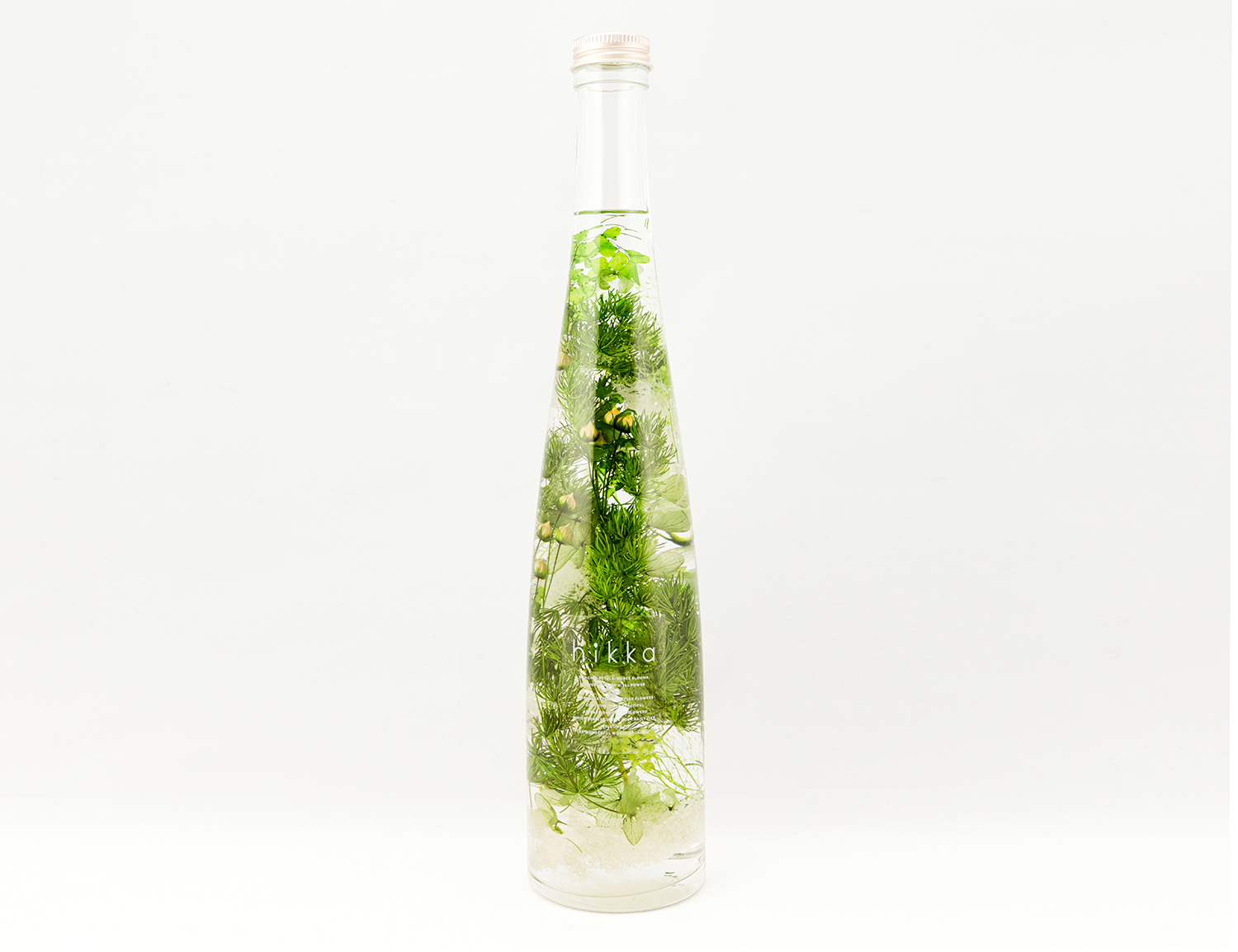 GREEN の画像