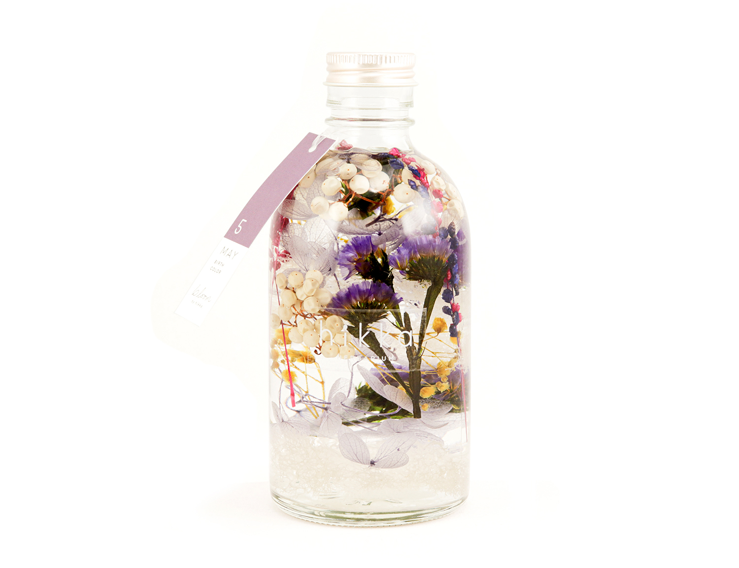5MAY 恋花薊 の画像