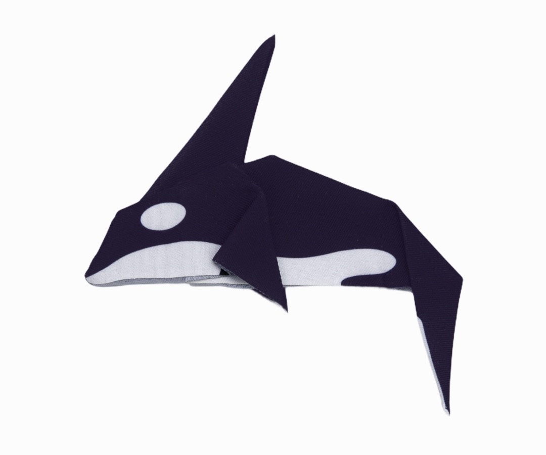 シャチ の画像