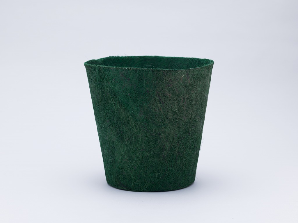 Green／M の画像