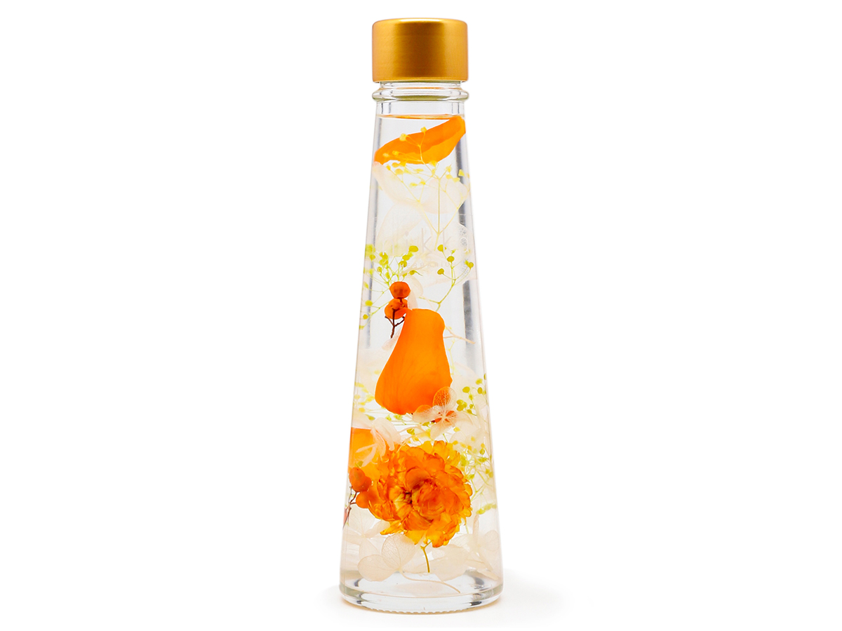 ORANGE の画像