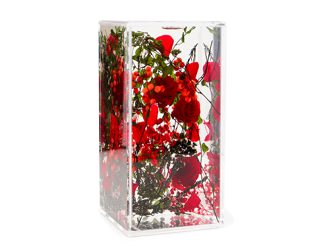 RED の画像