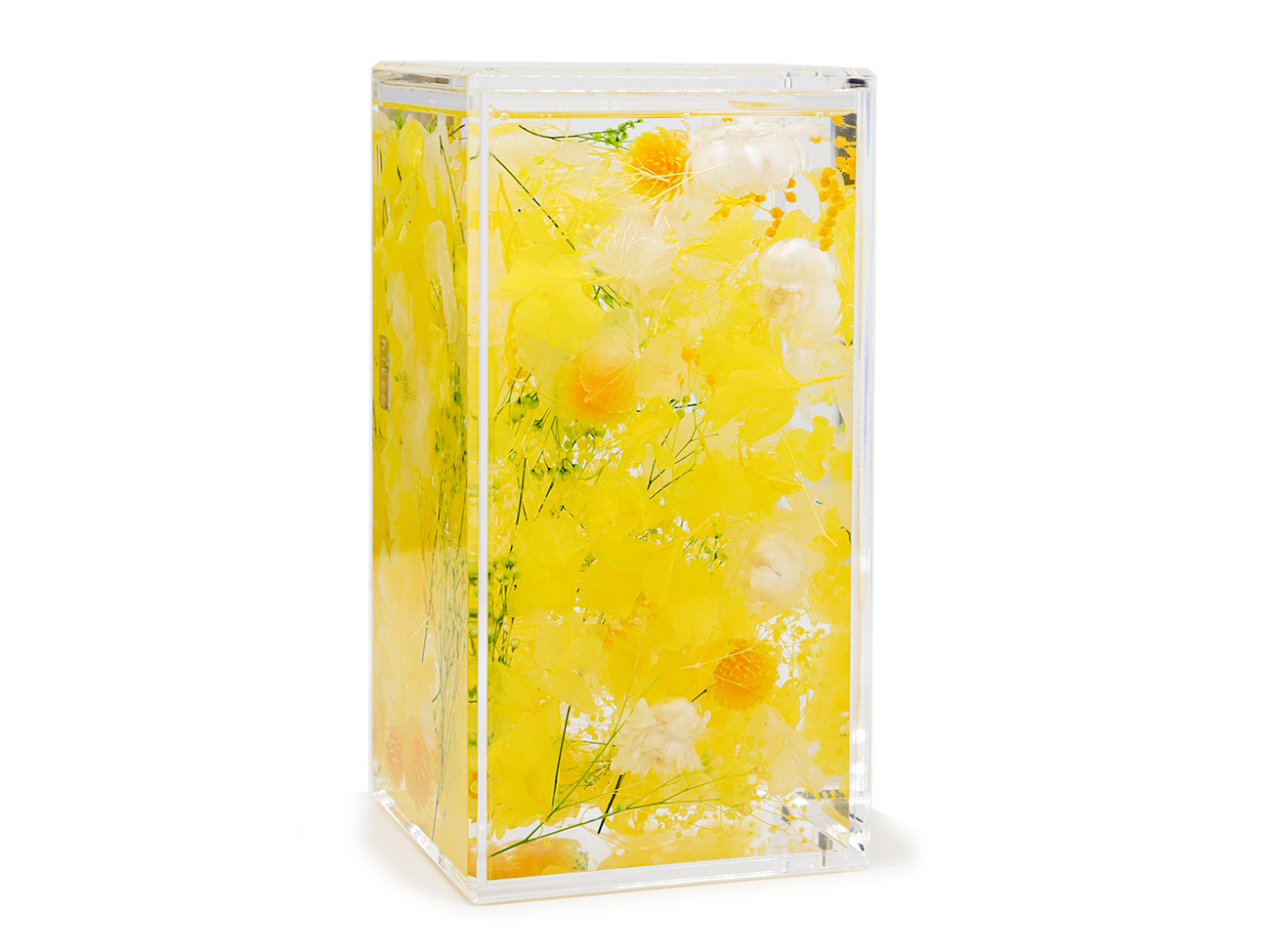 YELLOW の画像
