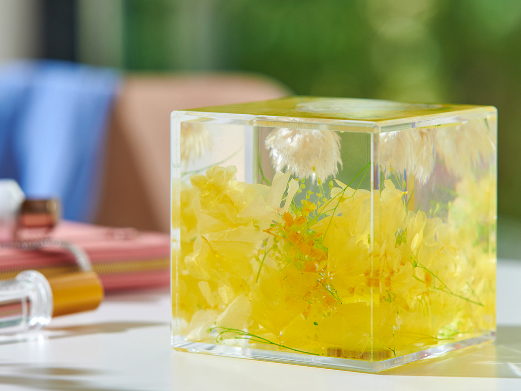 YELLOW の画像