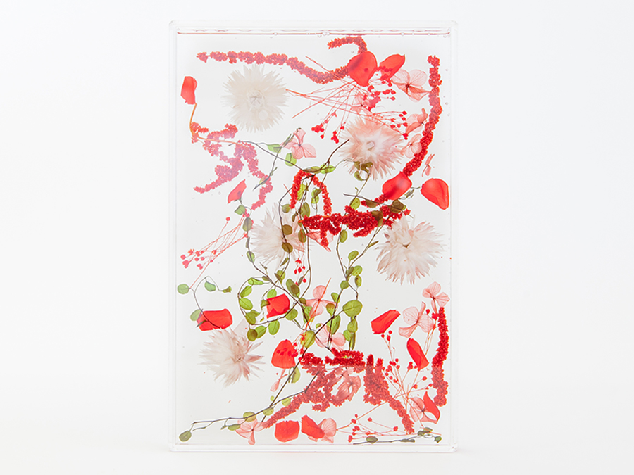 RED の画像
