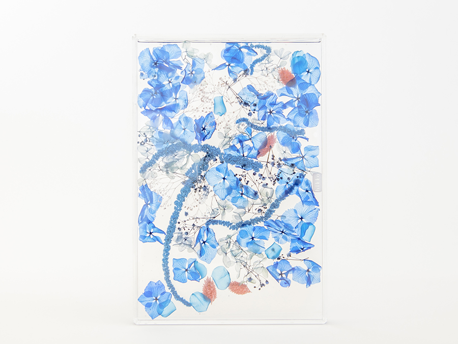 BLUE の画像