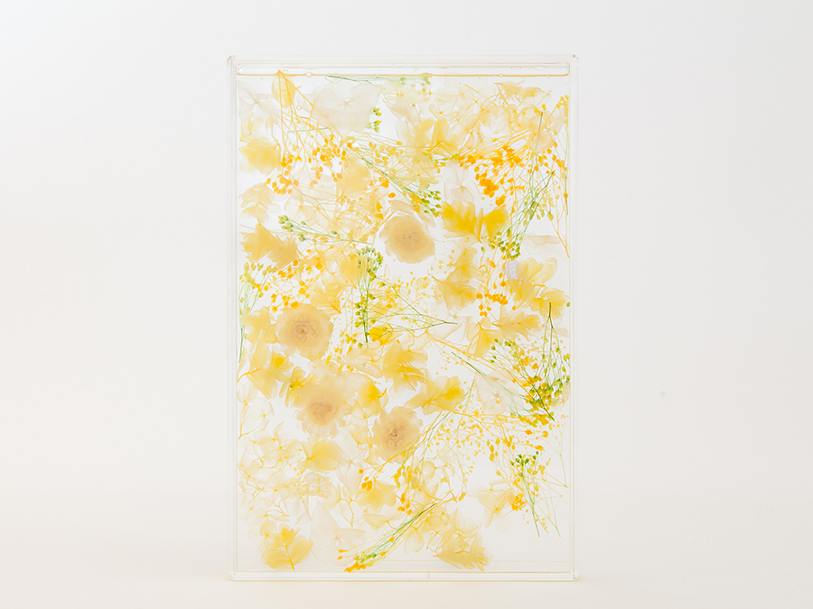 YELLOW の画像