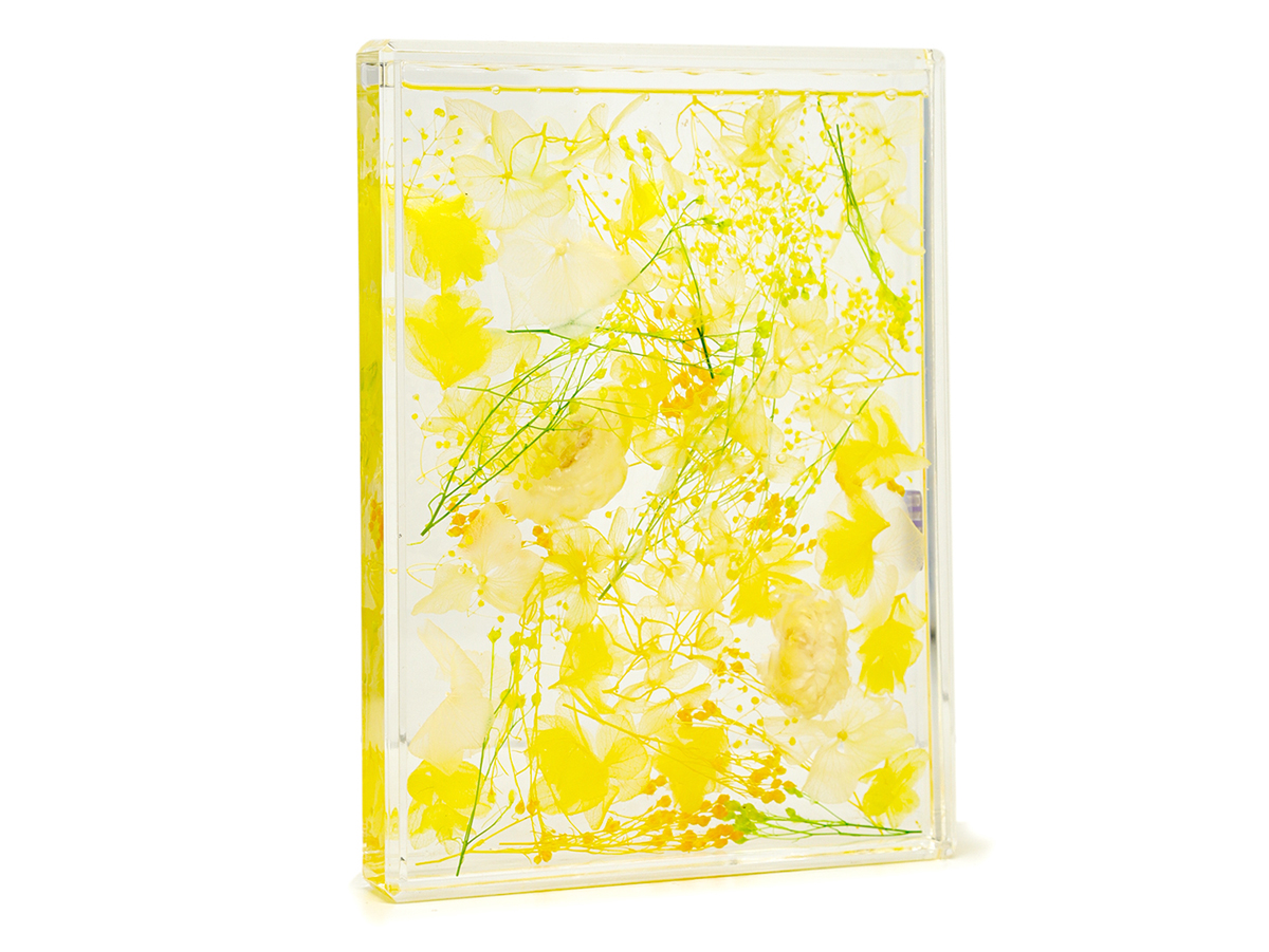 YELLOW の画像