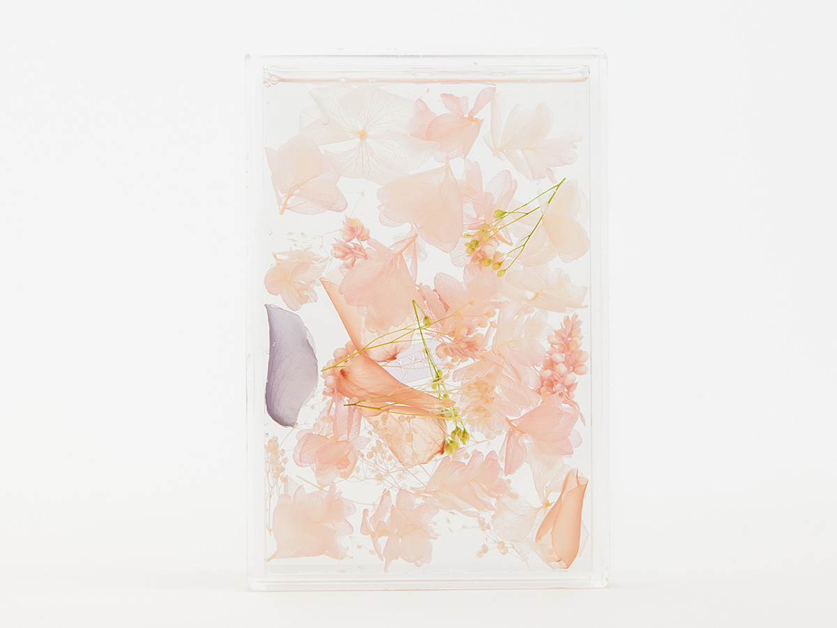 PINK の画像