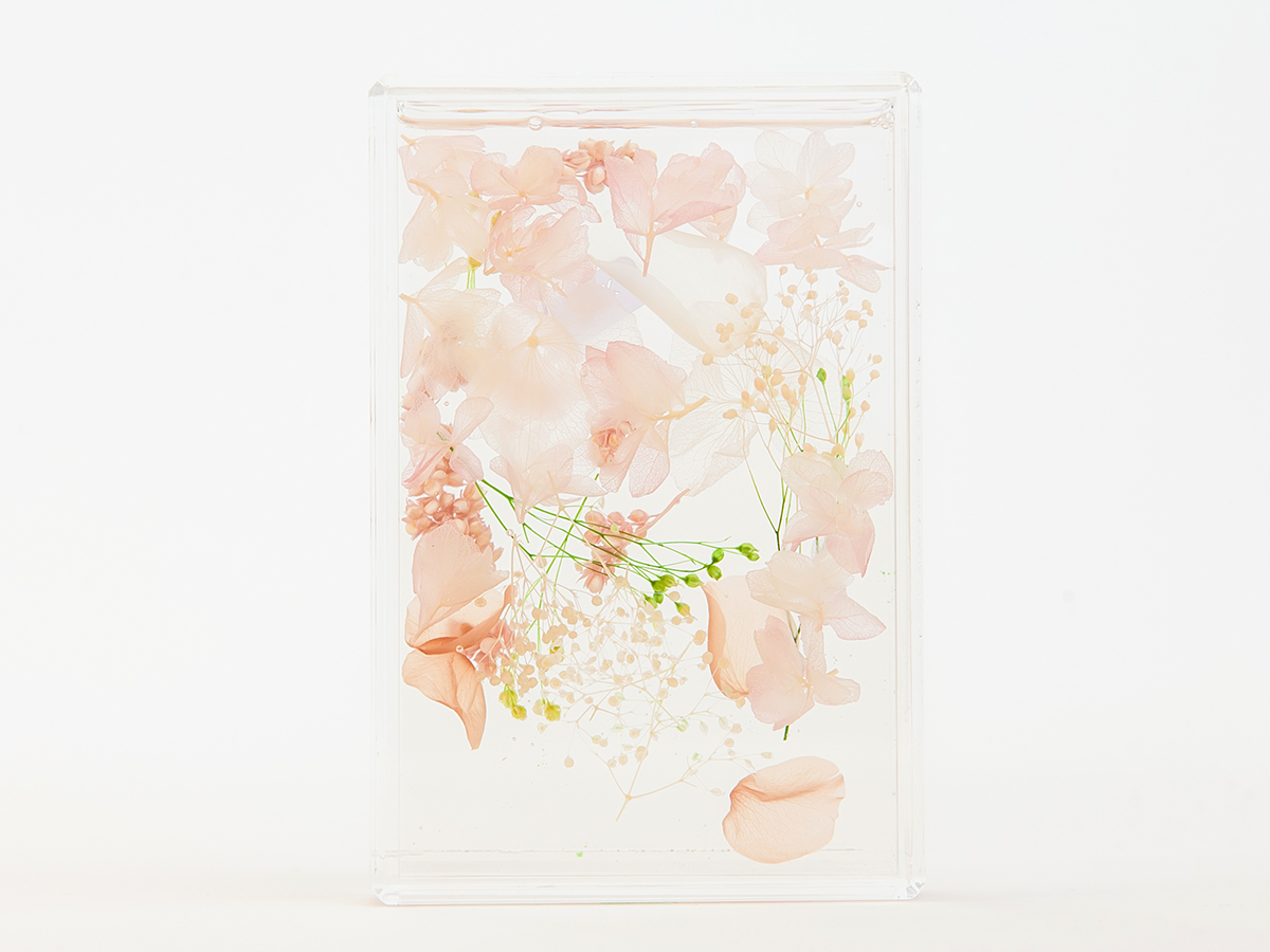 PINK② の画像