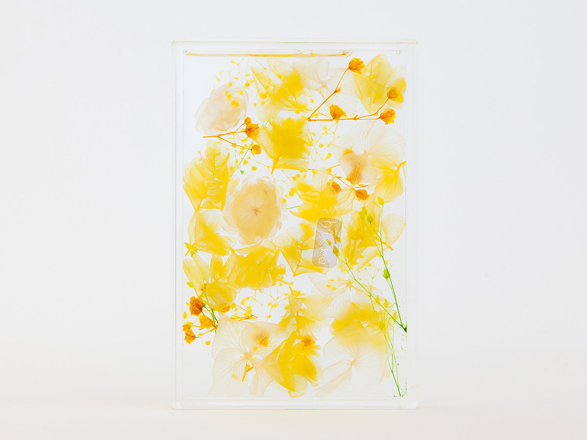 YELLOW の画像