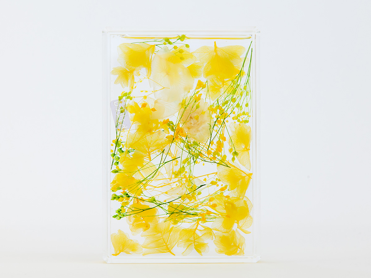 YELLOW② の画像