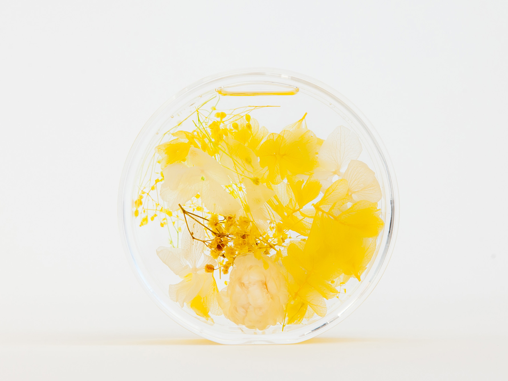 YELLOW の画像
