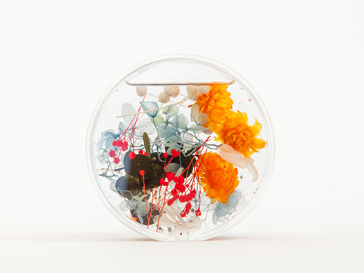 ORANGE の画像
