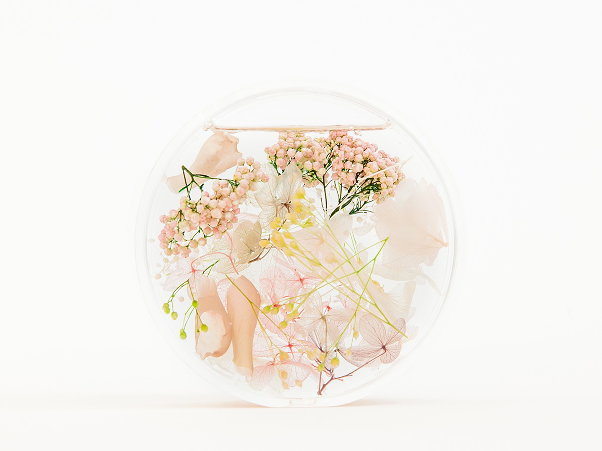 MAUVEPINK の画像