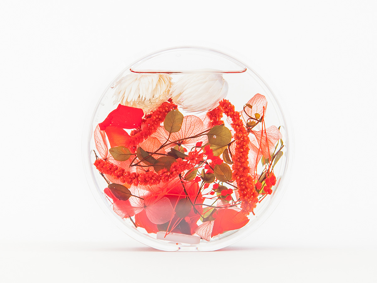 RED の画像