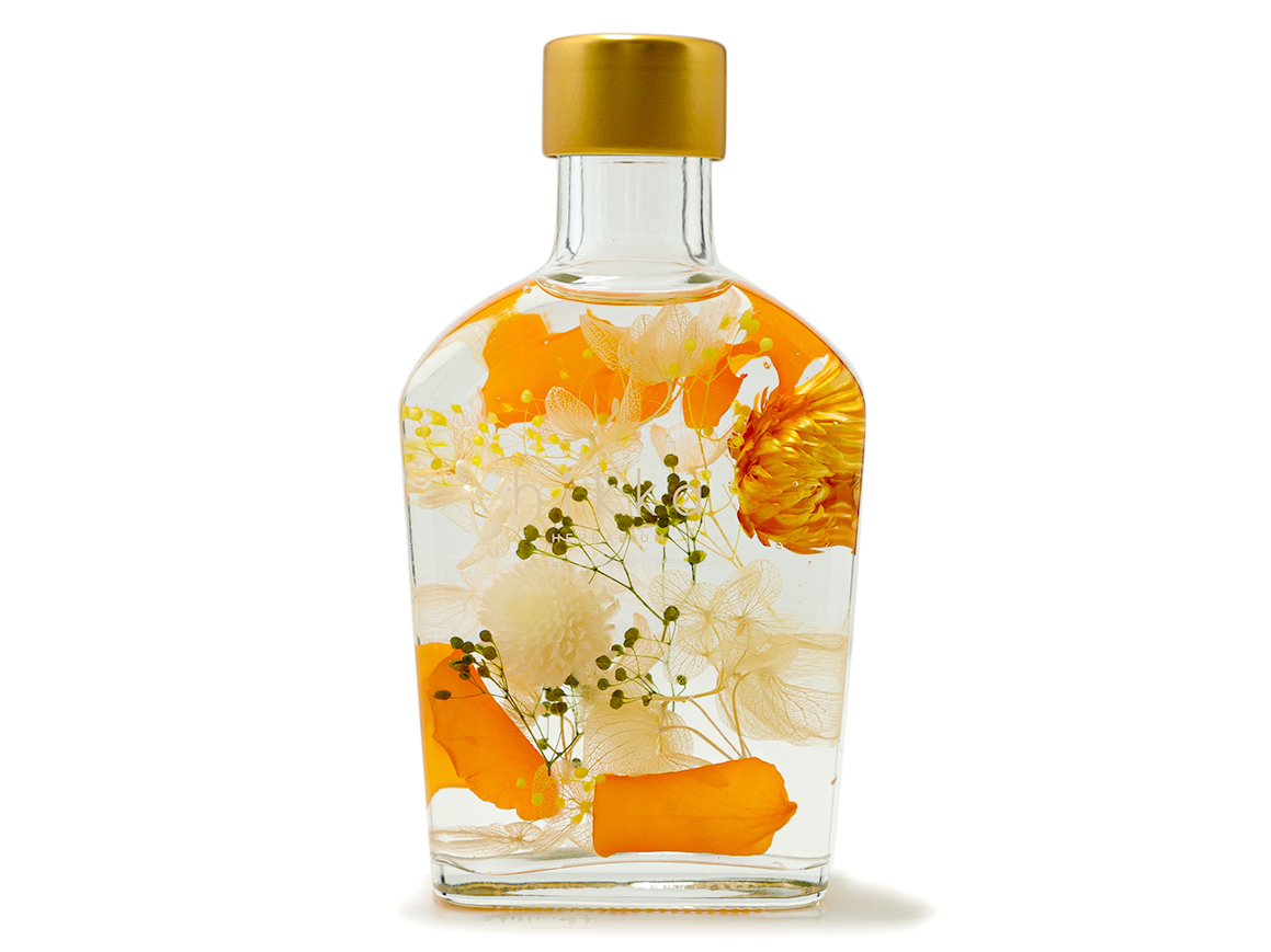 ORANGE の画像