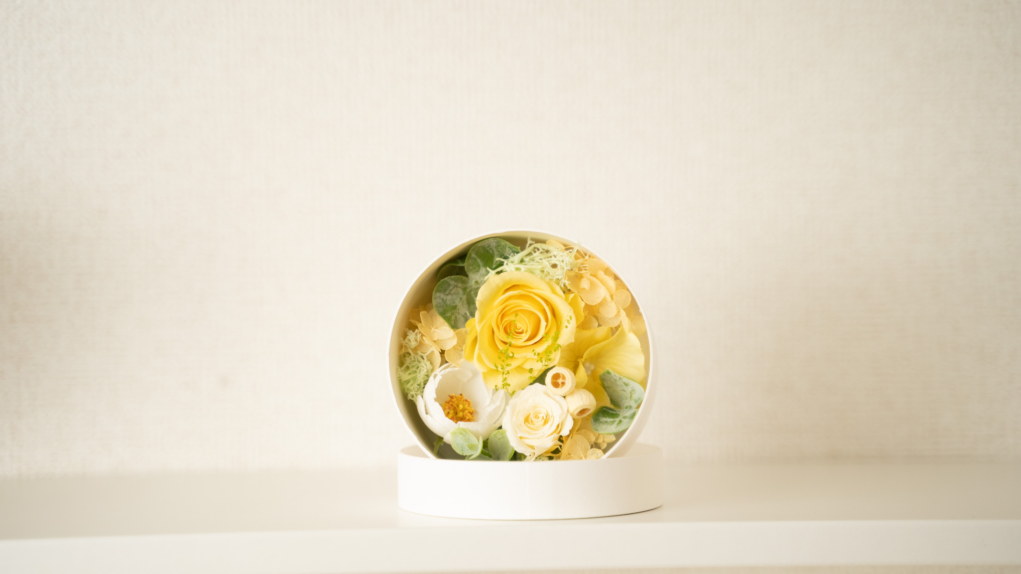 YELLOW の画像