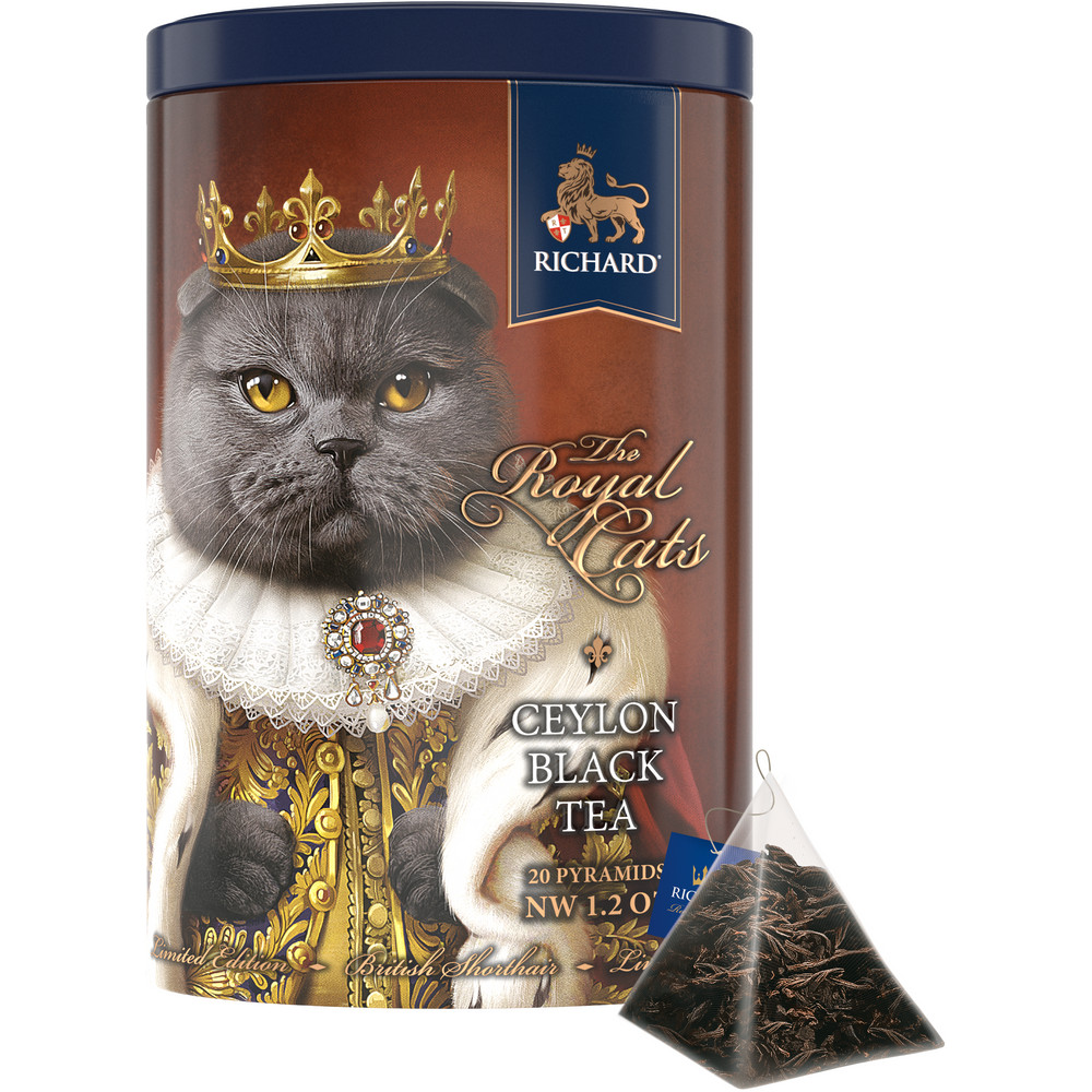 BRITISH SHORTHAIR(GREY CAT) の画像